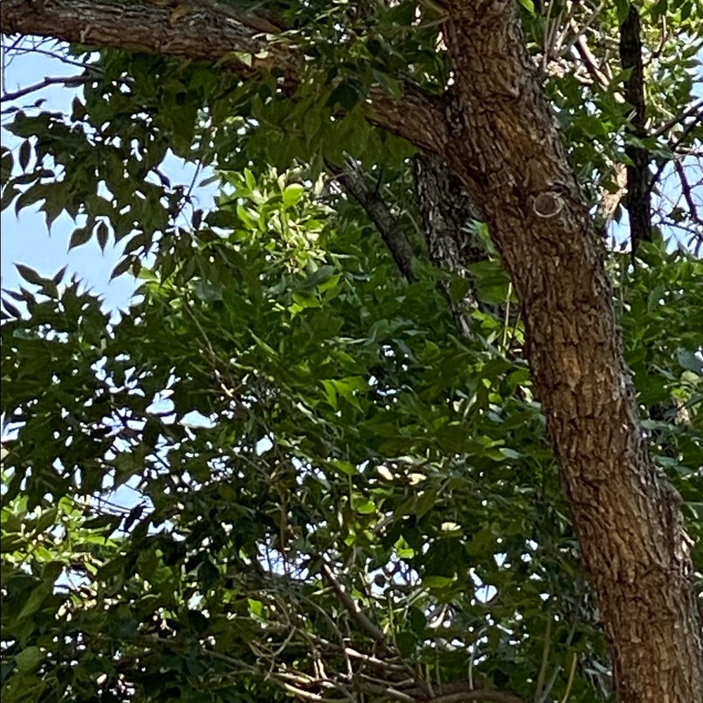 Meet your Posher, Theresa